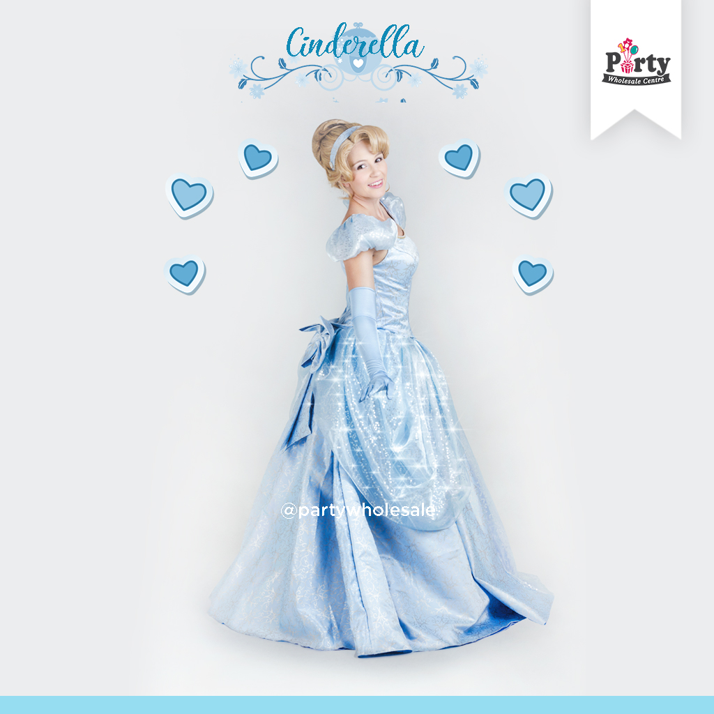 Cinderella Princess Character
