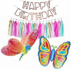 Rainbow Butterfly & Dragonfly Girls Birthday Package Party Wholesale