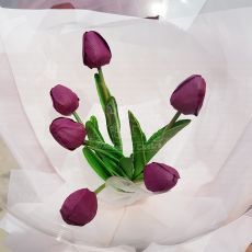 6 Purple Tulips