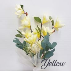 Yellow Magnolia