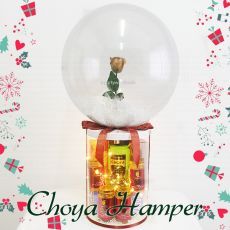 Personalised Truly Christmas Choya Gold Rose Flower Hot Air Balloon Hamper Gift Party Wholesale