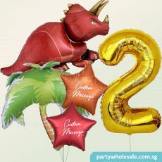 Dinosaur Helium Party Package Singapore