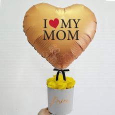 Surprise Mother's Day Gift