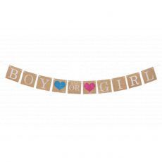 Gender Reveal Boy or Girl Banner Party Wholesale