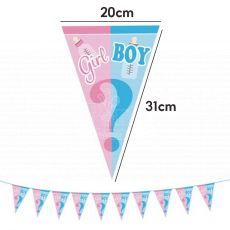 Gender Reveal Banner Boy or Girl