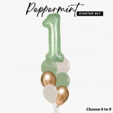 Peppermint 1st Birthday Number Balloon Package