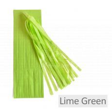 Lime Green Tissue Tassel Party Supplies