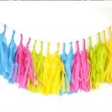 Tassel Tissue Garland Vibrant Birthday Party Ideas