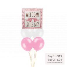Welcome Baby Girl Helium Balloons Party Supplies Singapore