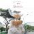 Personalized Wedding Gift Bear Hot Air Balloon Hamper
