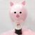 Piglet Pink Roses Hot Air Balloon Hamper