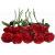 Everlasting Red Roses Surprise Hamper Gift