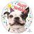 Pug Dog Hapy Birthday Foil Balloon 18In