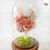 Preserved Pink Rose Bell Jar Singapore Party Wholesale