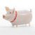 Pig Walking Pet