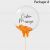 Orange Personalised Balloon Package A