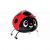 Ladybug Walking Pet Balloon Party Wholesale