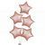 Rose Star Balloon Bouquet