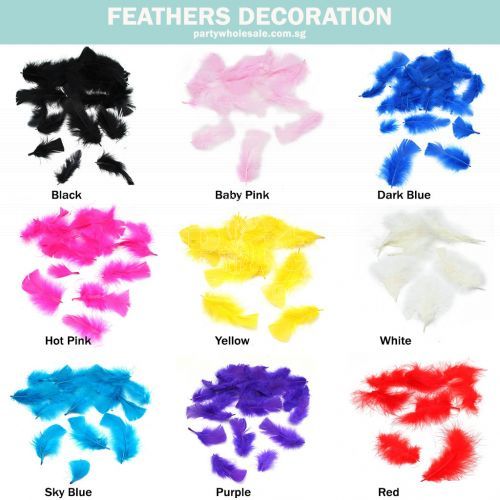Feathers Decoration Party Wholesale