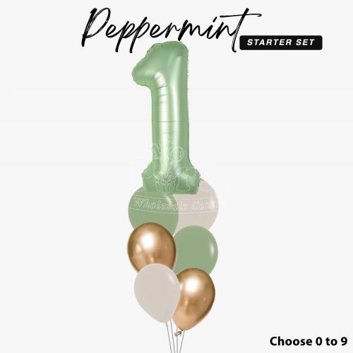 Peppermint 1st Birthday Number Balloon Package