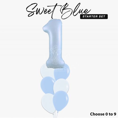 1st Birthday Sweet Blue Balloon Party Wholesale