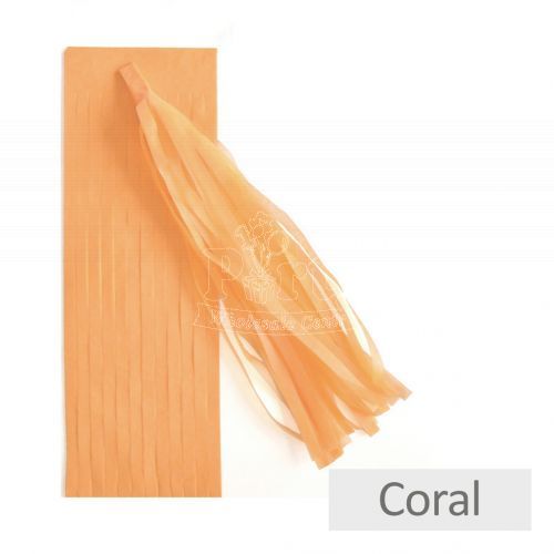 $1 Party Tassel Party Supplies