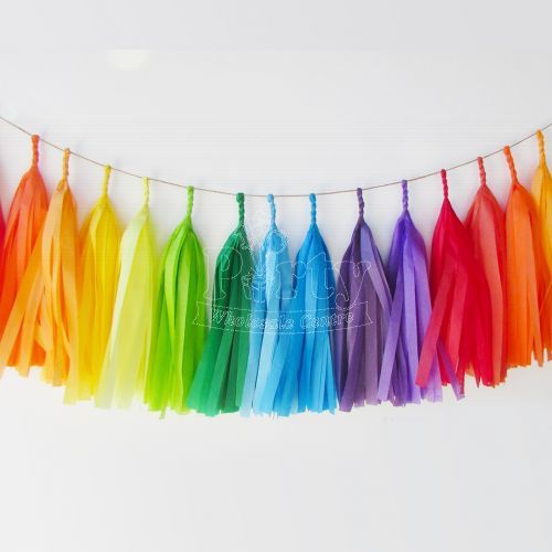 Rainbow Paper Tassel Garland Decoration