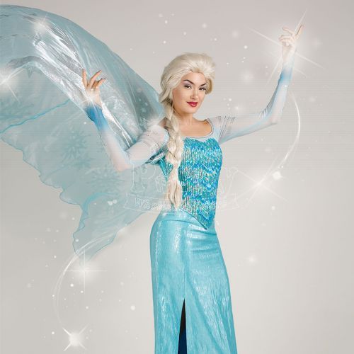 Princess Elsa Frozen Ice Queen Character