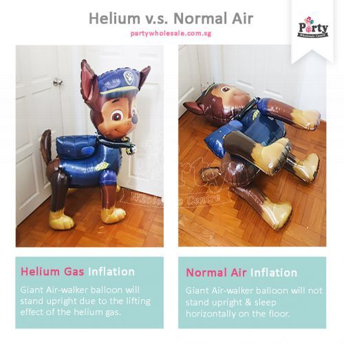 Airwalker Balloon Normal Air Helium Gas Difference