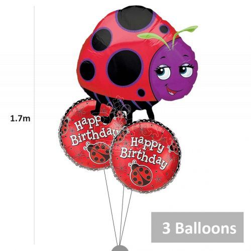 Ladybug Helium Balloon Bouquet Party Wholesale Singapore