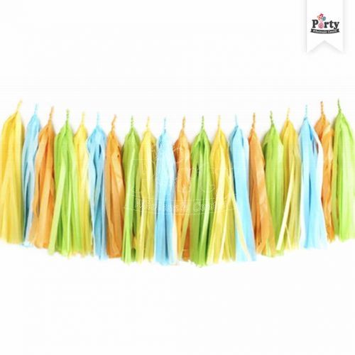 Summer Picnic Tassel Party Supplies Decoration Singapore